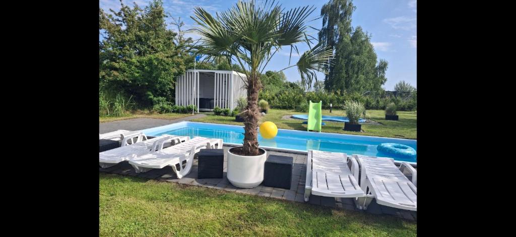 a group of white lounge chairs and a palm tree by a pool at Domki Black Pearl Mielno basen sauna jacuzzi in Mielno