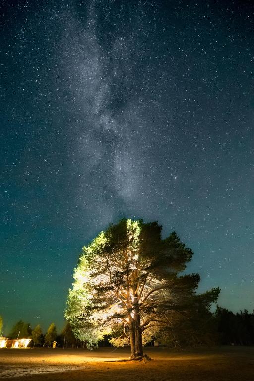 Fotografie z fotogalerie ubytování Nordic Lapland Frevisören v destinaci Båtskärsnäs
