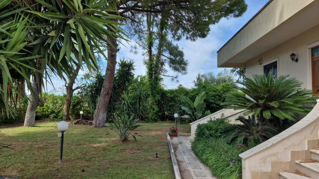 The Orange Groove - 17