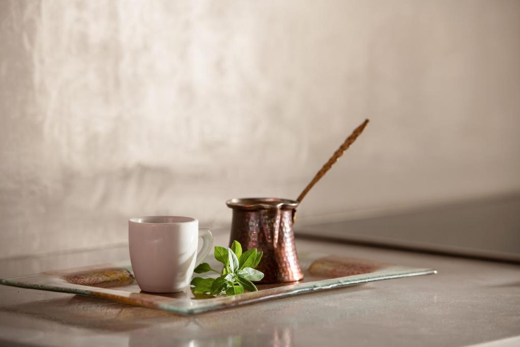 a plate with a cup and a plant on a table at Casa Anastacia Sykia in Sikia