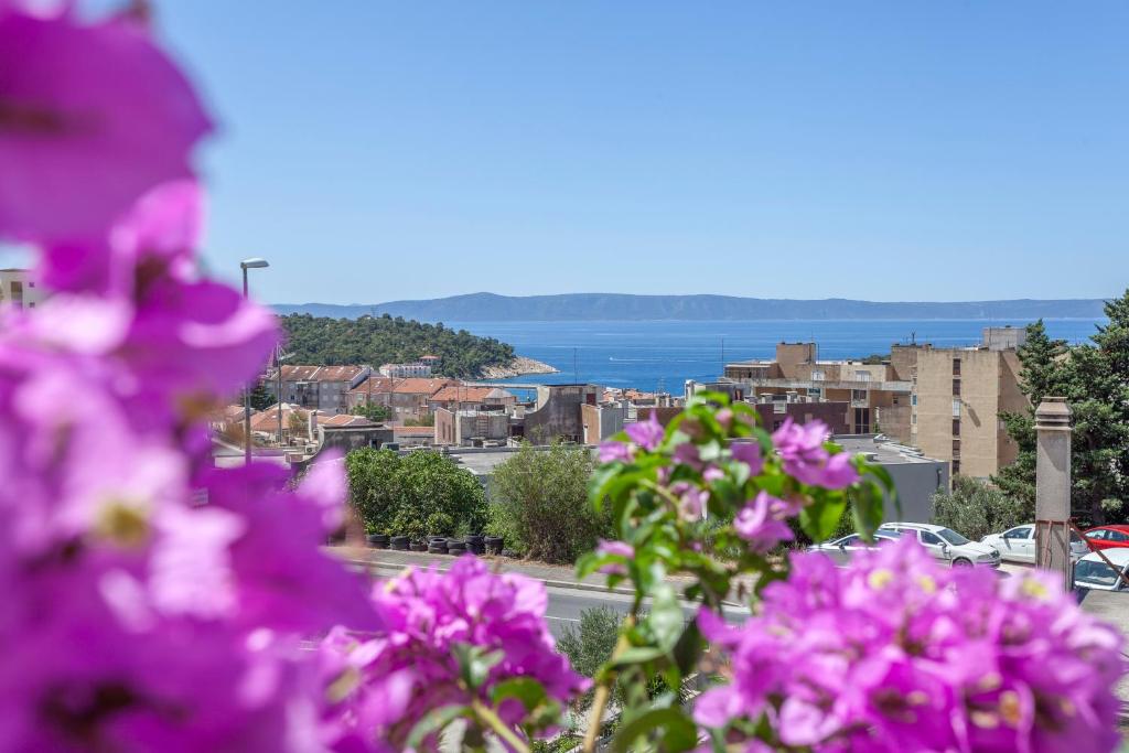 Φυσικό τοπίο κοντά σε αυτό το διαμέρισμα