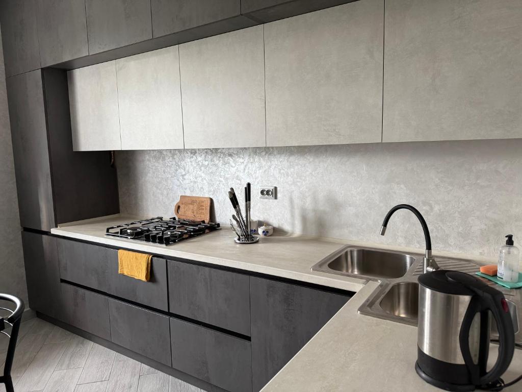 een keuken met een spoelbak en een aanrechtblad bij ViLLA KUMANETS in Skhidnitsa