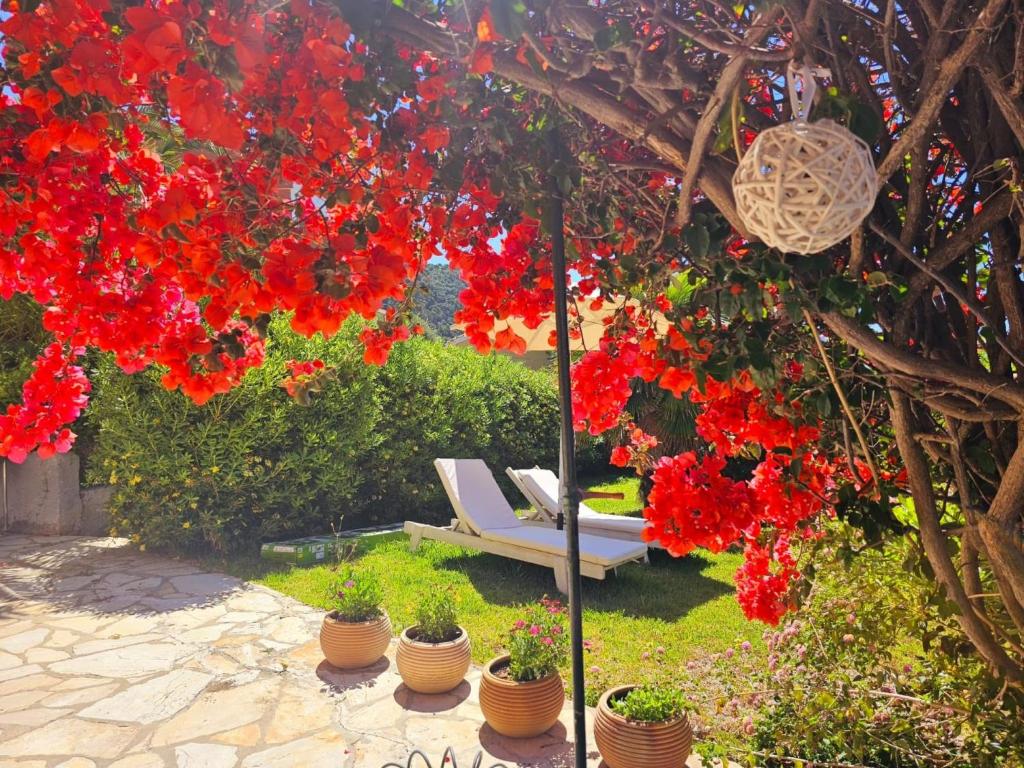 Ogród w obiekcie Corfu Glyfada Apartment 45
