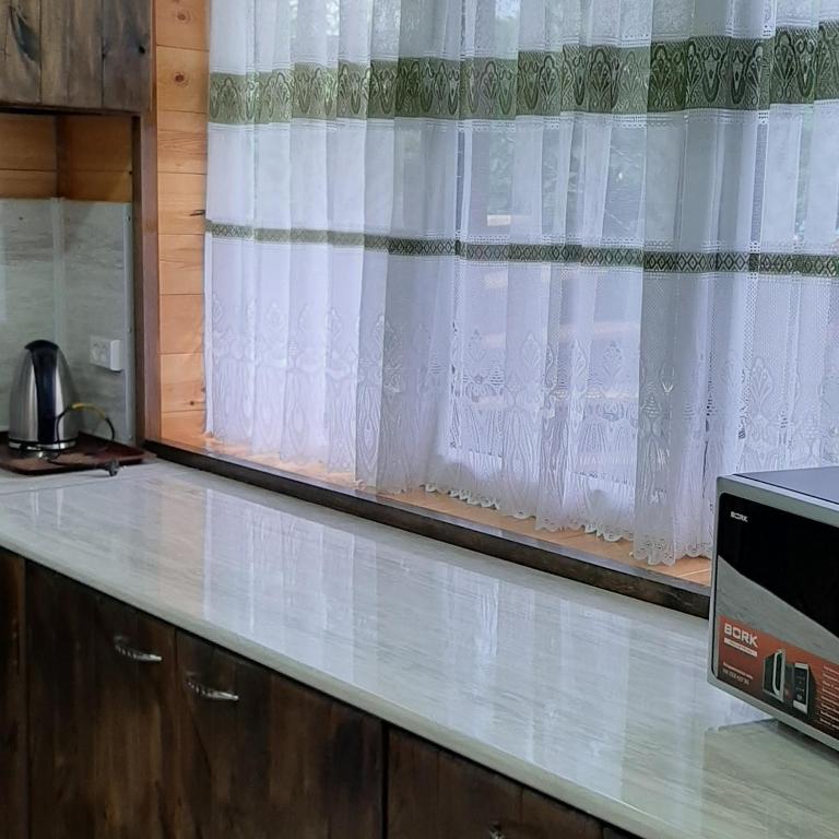 Kuchyň nebo kuchyňský kout v ubytování Olga Guest House