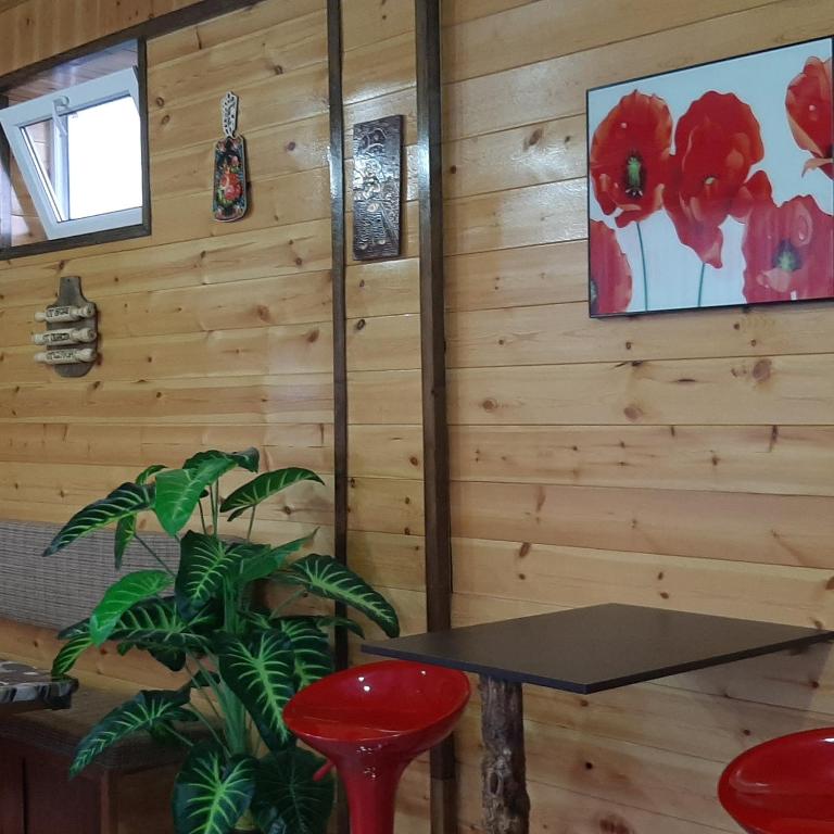 Fotografie z fotogalerie ubytování Olga Guest House v destinaci Cholpon-Ata
