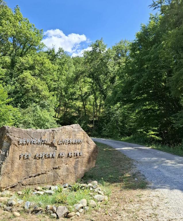 Príroda v okolí farmy