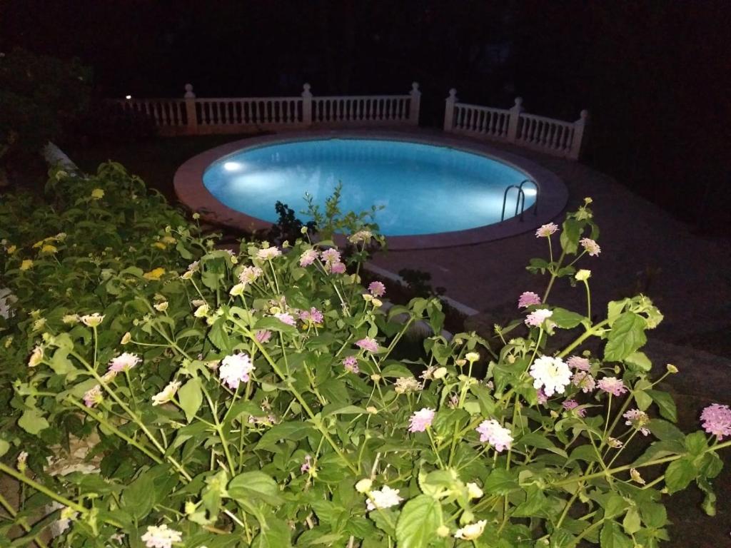 a swimming pool at night with flowers in a garden at Chalet Monterrey in Real de Gandía