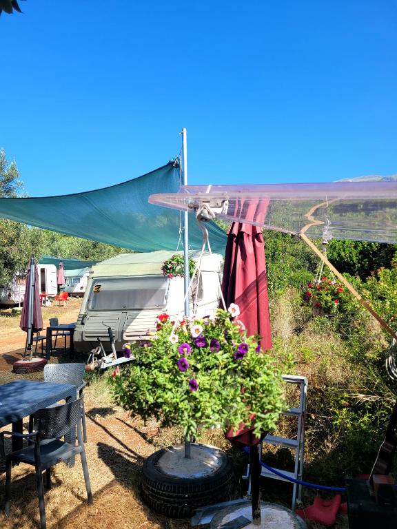a campsite with a trailer and a table and a plant at Aquariumi Jale Camping in Jal