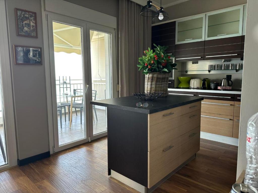 a kitchen with a island with a plant on it at Eleny Apartments in Perea