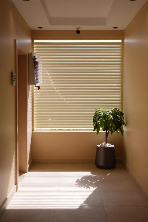 فندق أورو بلازا ORO Plaza Hotel - 12