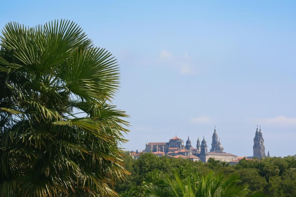 Cabañas Compostela - Cabaña a Carballeira - 8