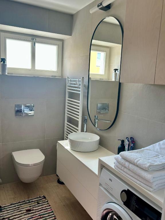 Koupelna v ubytování Apartmán U Zlaté břízy Krušné hory - Erzgebirge
