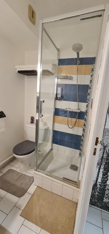une salle de bain avec douche et toilettes dans l'établissement Appt LGM, au couchant, piscine, 300m plage, à La Grande Motte