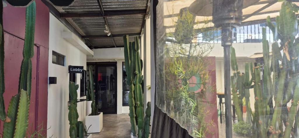 Fotografie z fotogalerie ubytování Coyote Lofts-Estacion Federal v destinaci Tijuana