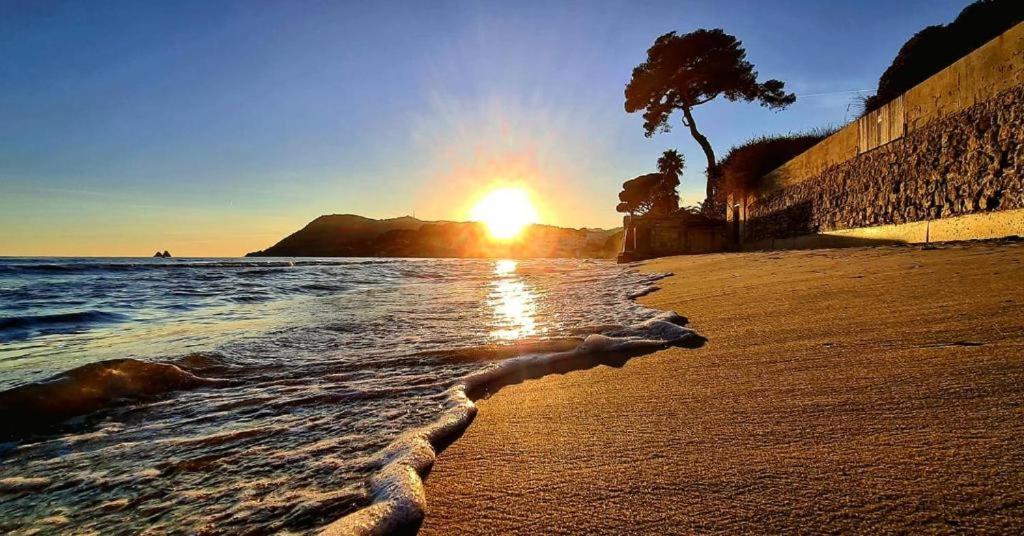a sunset on a beach with a tree and the ocean at Appartement 3 pièces à 5 min de la plage in La Seyne-sur-Mer