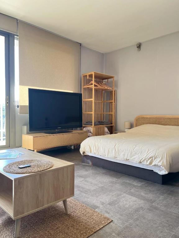 une chambre avec un lit et une télévision à écran plat dans l'établissement One Bedroom Apartment Centre Lyon, à Lyon