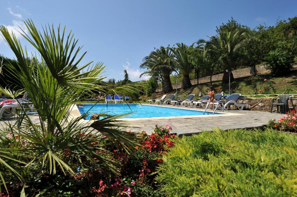 een zwembad met stoelen, bomen en planten bij Hotel O Sole Mio in SantʼAgata sui Due Golfi