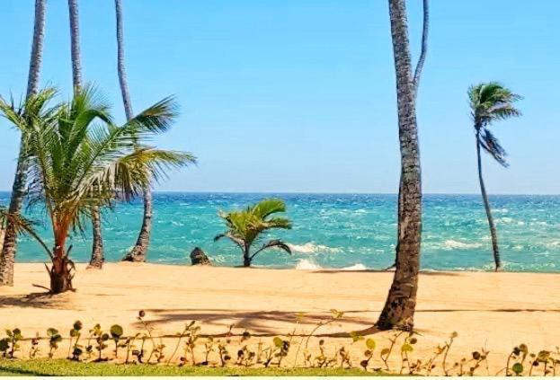 a beach with palm trees and the ocean at Albatros club resort in Colorado