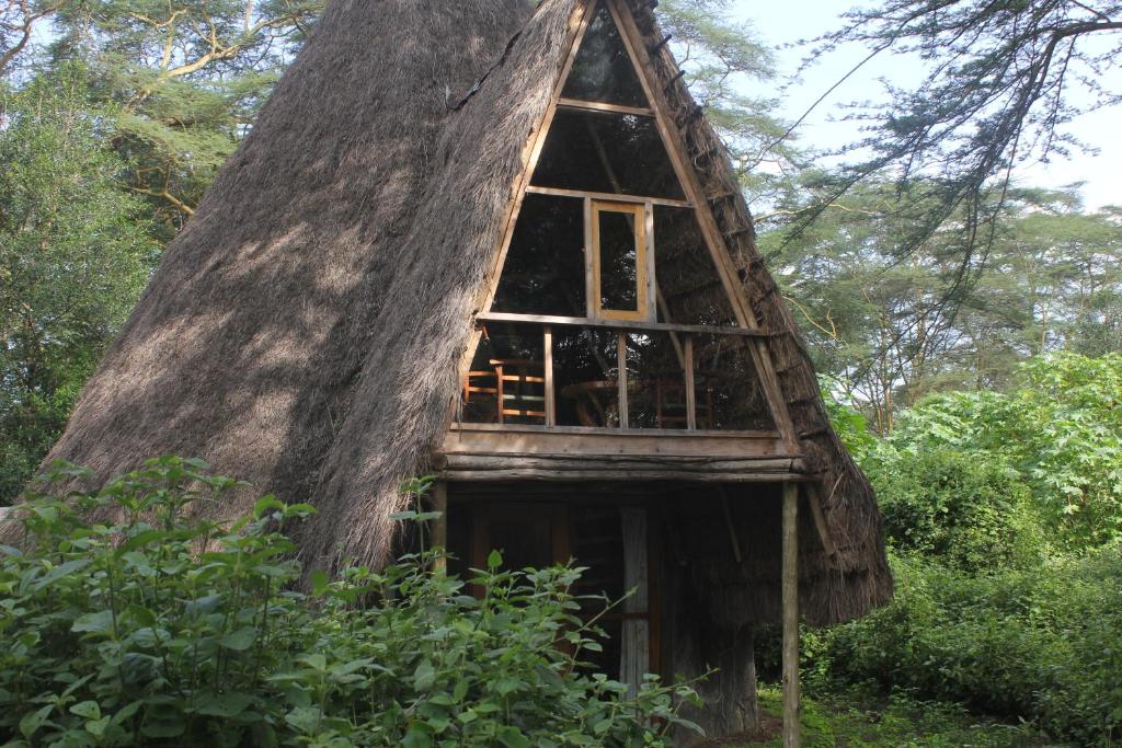 Edificio en el que se encuentra el lodge