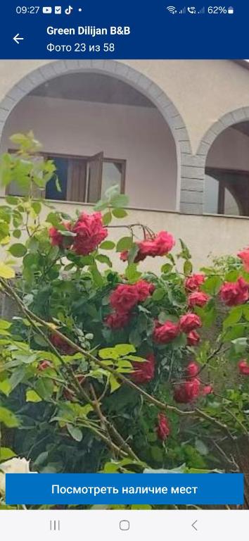 Zahrada ubytování Green Dilijan B&B