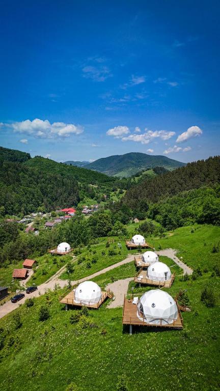 a group of white tents on a green field at Zenzia Glamping Adult Only in Piatra Neamţ