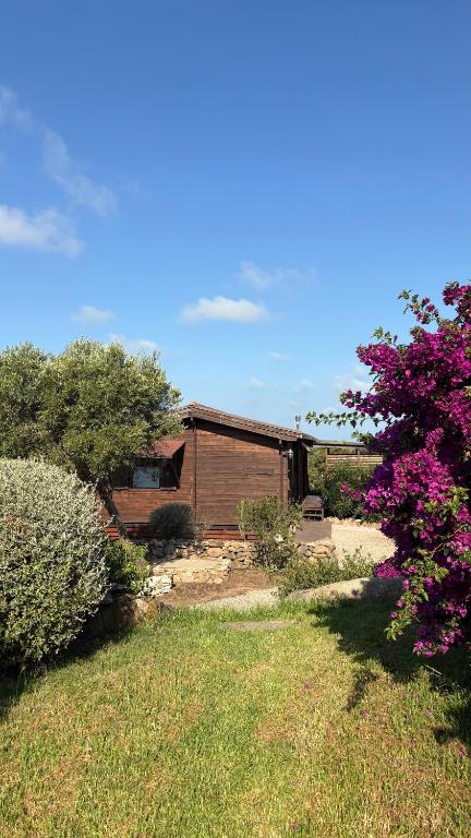 une maison dans une cour avec une cour dans l'établissement Chalet Maria, à Bonifacio