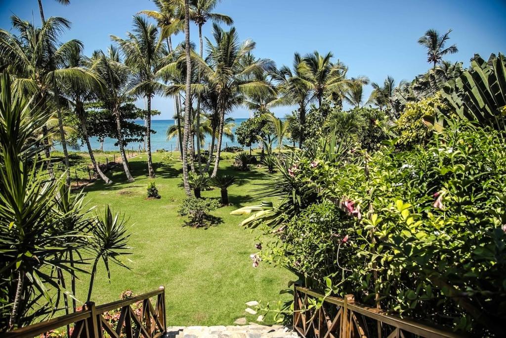 a view of a garden with palm trees and the ocean at Villa Ixora - Ocean Front in Las Galeras