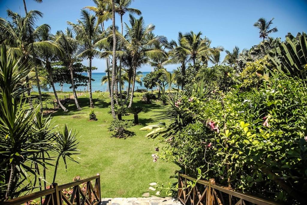 Blick auf einen Garten mit Palmen und das Meer in der Unterkunft Jasmine La Playita - Ocean Front in Las Galeras