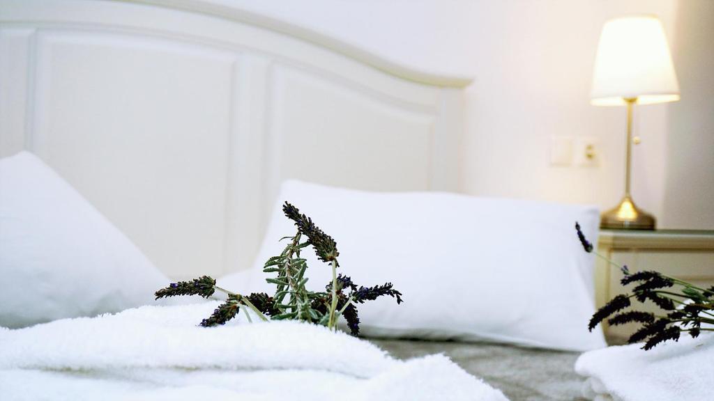 Archontiko Suites Santorini - 8