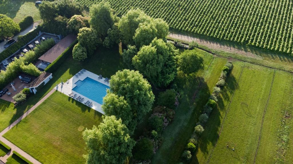 Bazén v ubytování Agriturismo Moscatello nebo v jeho okolí