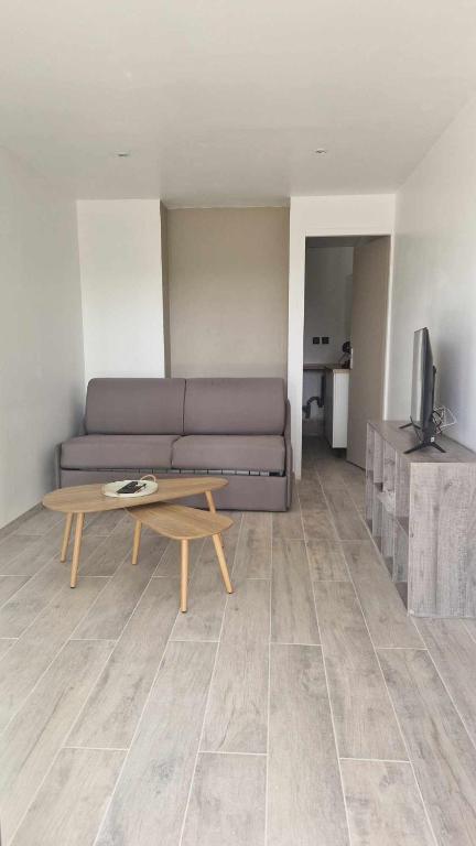 Una sala de estar con un sofá y una mesa de café. en Appartement avec jaccuzzi privatif en RDC proche via rhona, en Charmes-sur-Rhône