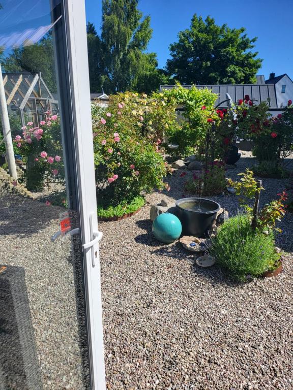 Zahrada ubytování Strandhuset i Abbekås