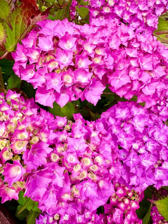 Billede fra billedgalleriet på A LUXURY DETACHED FIVE STAR 4 bed HOME with HOT TUB! i Panteg