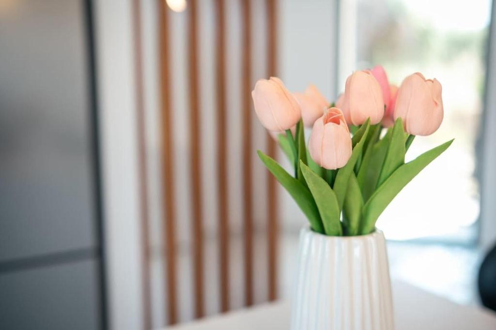 لابی و فضای عمومی Casa Xanthenia - تصویر ۵