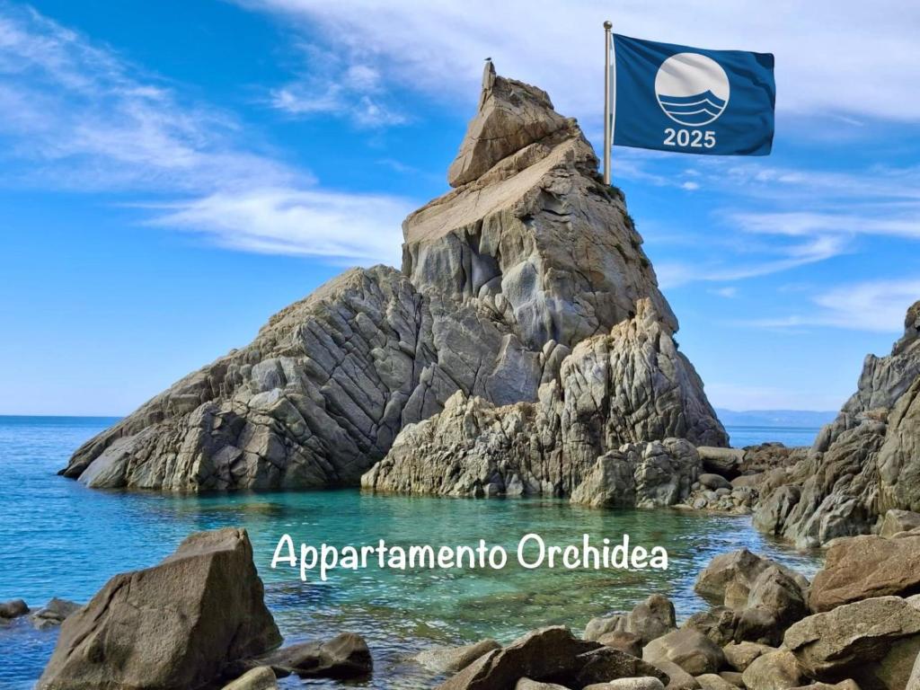 Appartamento Orchidea - Housity