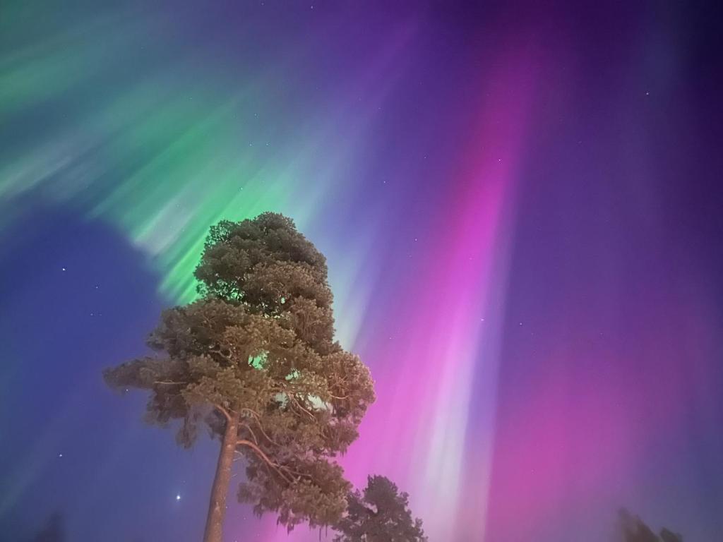 Fotografie z fotogalerie ubytování Björnstuga v destinaci Hammarstrand
