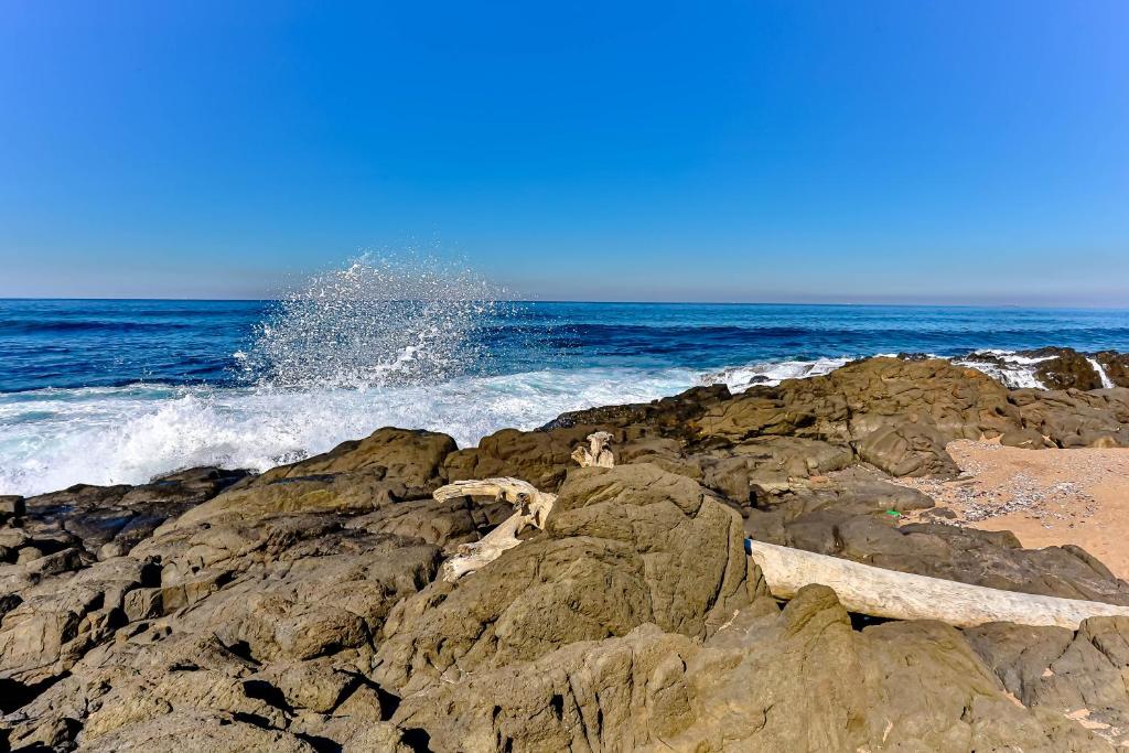 Naturlandskabet i nærheden af lejligheden