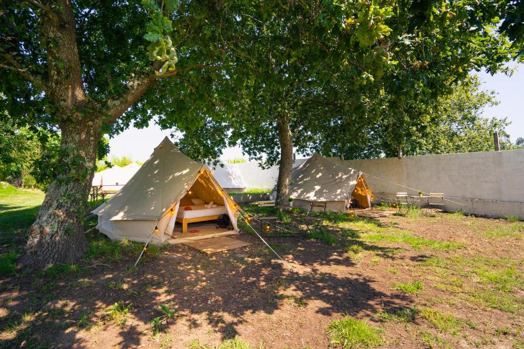 a couple of tents sitting under a tree at Kampaoh Rianxo in Rianjo