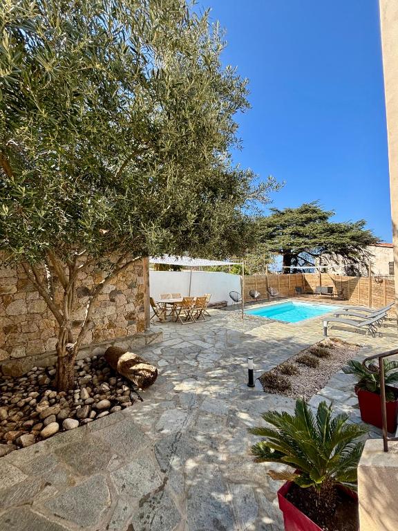 un patio avec un arbre et une piscine dans l'établissement VILLA CHJOSELLA 150M2 PISCINE ET AU CALME, à Santa-Reparata-di-Balagna