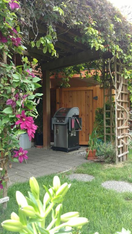Zahrada ubytování Nestledown B&B