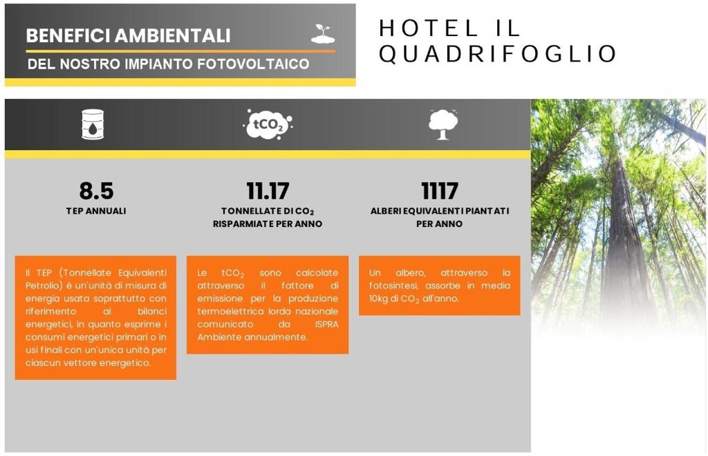 Certifikát, hodnocení, plakát nebo jiný dokument vystavený v ubytování Hotel Quadrifoglio Roma Eur