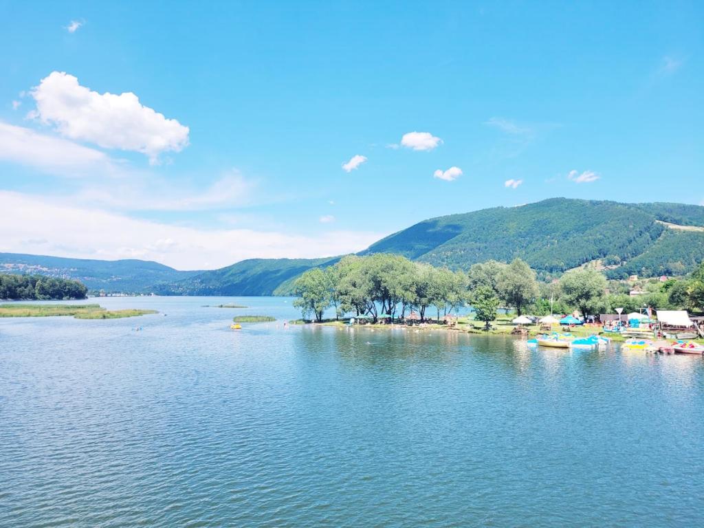 une rivière avec un tas de bateaux dans l'eau dans l'établissement Pokoje gościnne u Brody, à Międzybrodzie Żywieckie