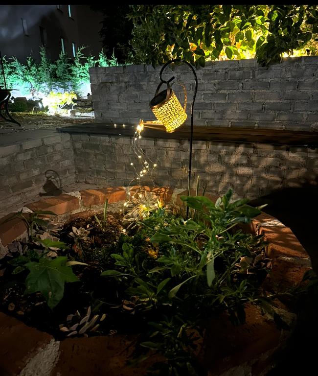 Zahrada ubytování Hostl - Beds & Rooms - The Hostel Inn Paphos, Old Town