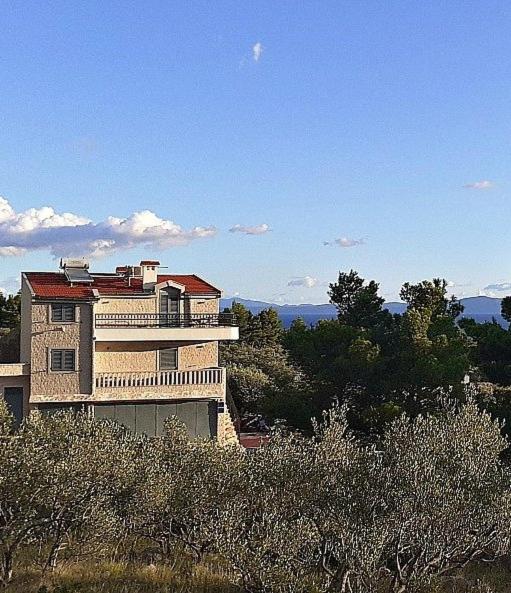 Príroda v okolí apartmánu