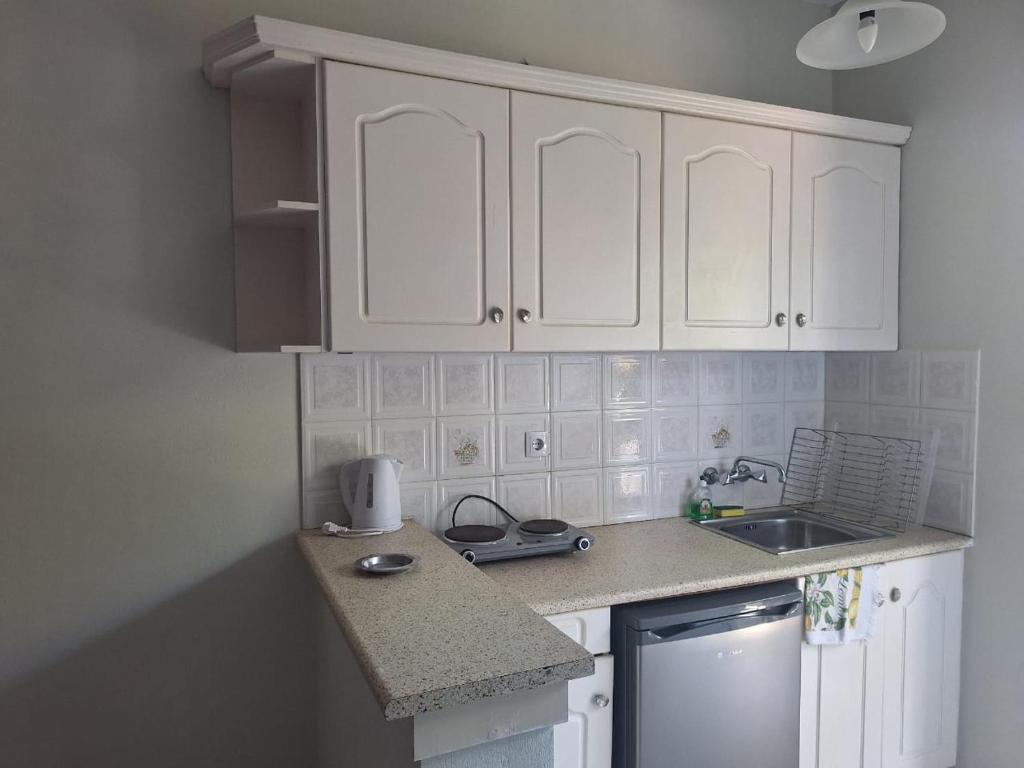 Kuchyň nebo kuchyňský kout v ubytování Tassos & Marios Apartments I