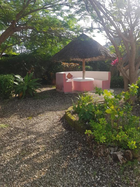 Zahrada ubytování Habibi B&B