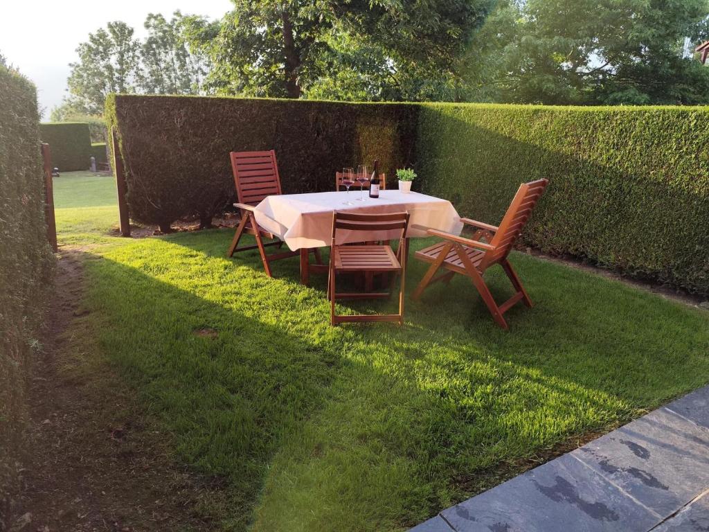une table et des chaises assises sur l'herbe dans l'établissement Apartamento con piscina y Wifi en Santa Leocadia, à Sainte-Léocadie