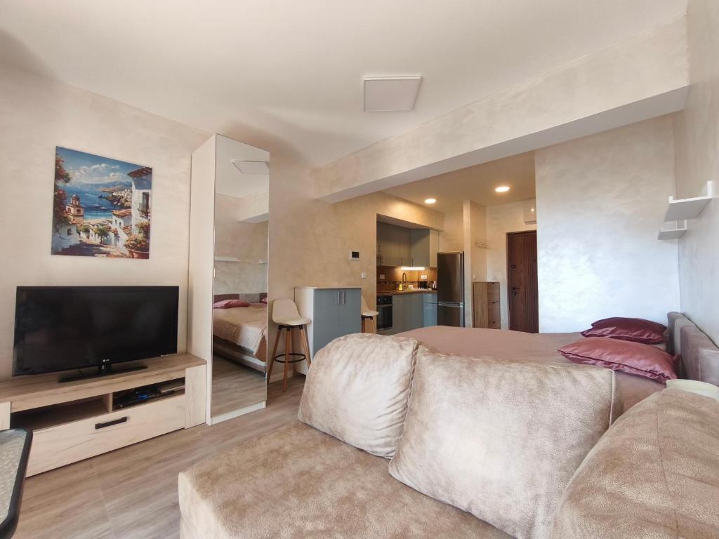 Μια τηλεόραση ή/και κέντρο ψυχαγωγίας στο Sea & Sand Apartment