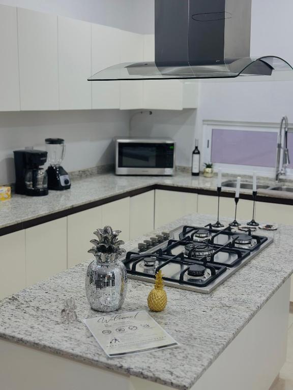 Kuchyň nebo kuchyňský kout v ubytování Apartment Hidalgo