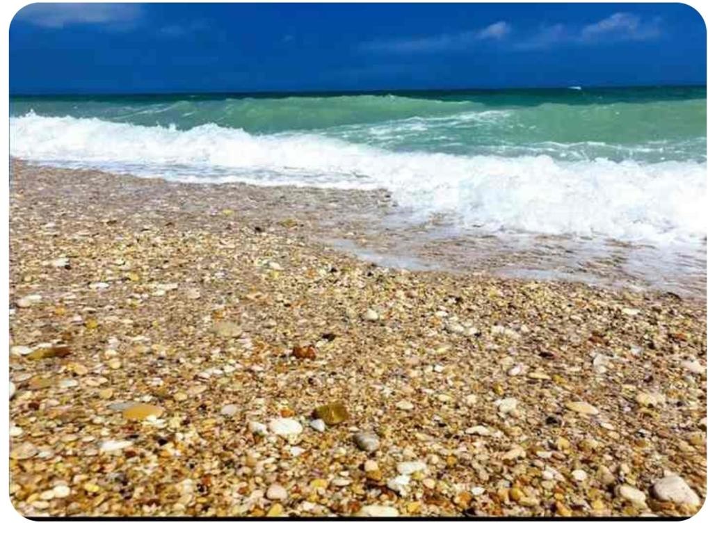 Naturlandskabet i nærheden af lejligheden